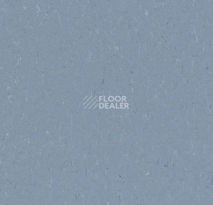 Линолеум Forbo Marmoleum Solid Piano 3642-364235 periwinkle фото 1 | FLOORDEALER